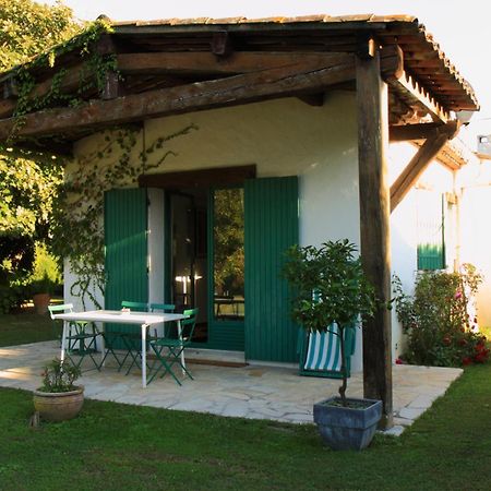 Le Clos De St Paul La Colle-sur-Loup Kültér fotó